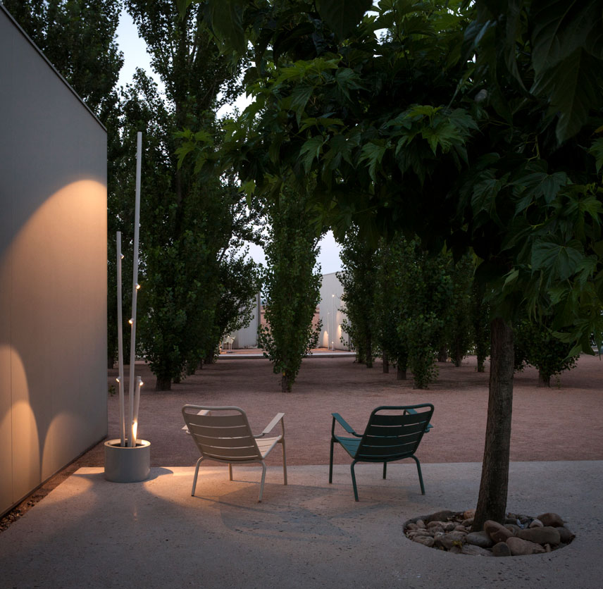 bamboo_exterior