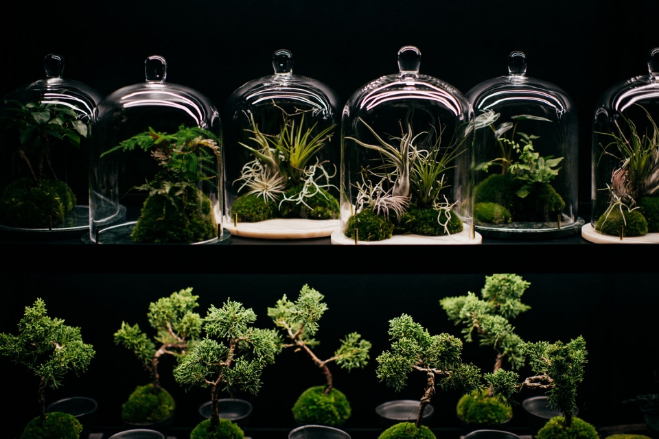 Biophilic Design With Vibia Lighting | Vibia