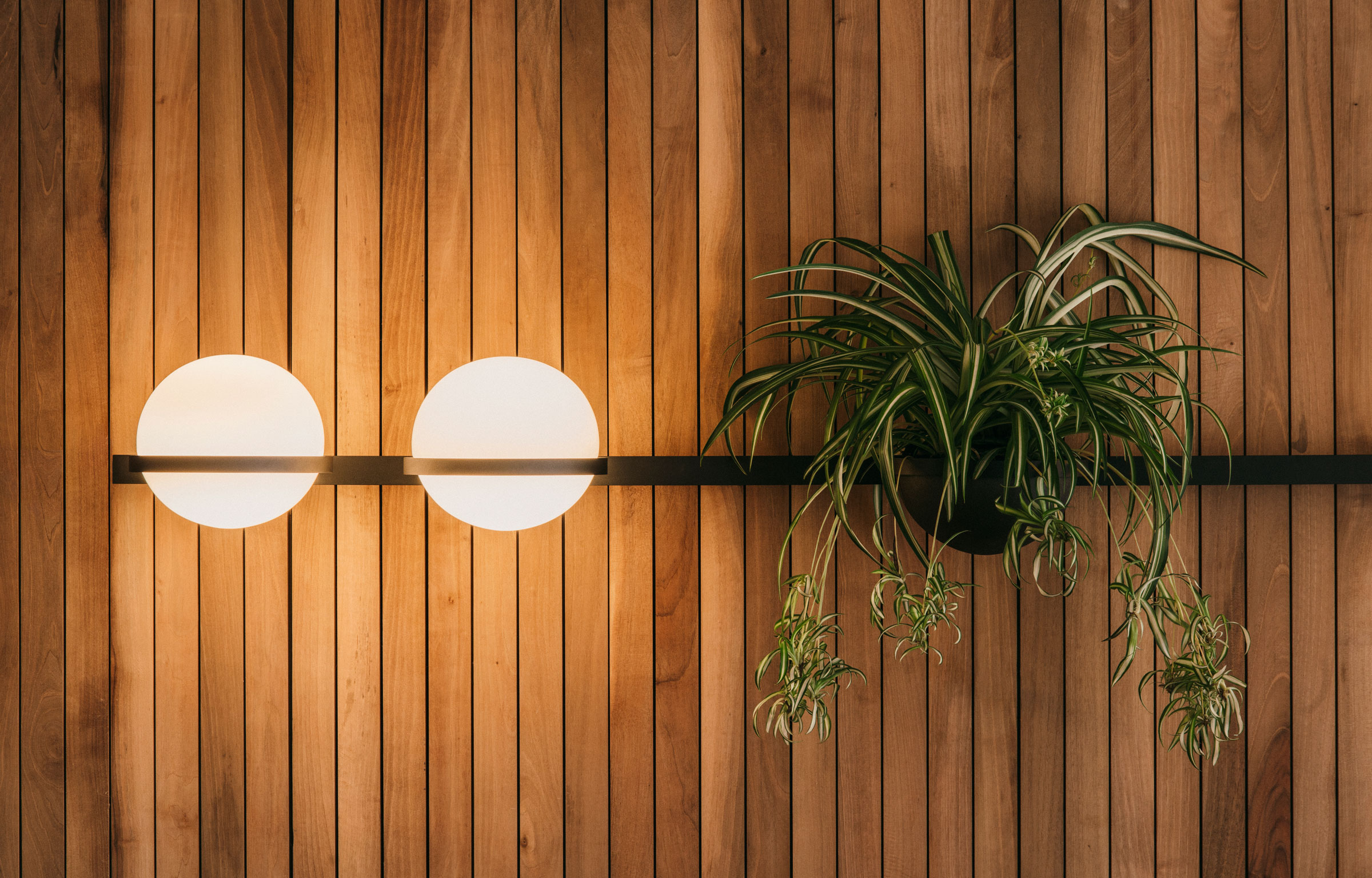 Vibia The Edit - The Palma Wall - Bringing the Outdoors In